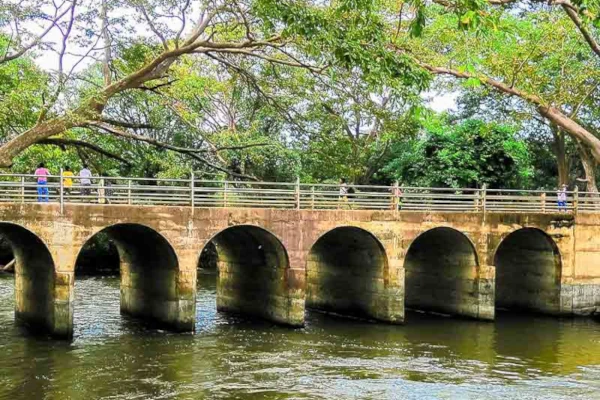 Yodha wewa Sanctuary 